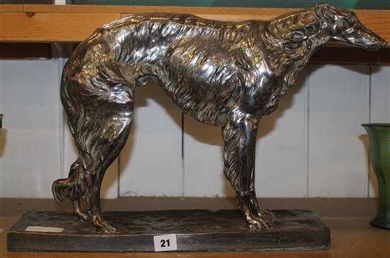 Plated Afghan hound